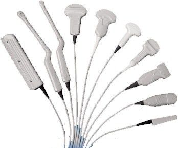 Cranial Phased Array Ultrasound Transducer voor Logiq book/XP Logiq i/e Vivid i/e/S5