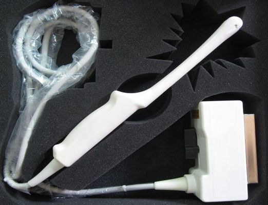 Esaote EC123 Transvaginale Ultrasone Probe Klasse II Instrument met verbeterde beeldvorming