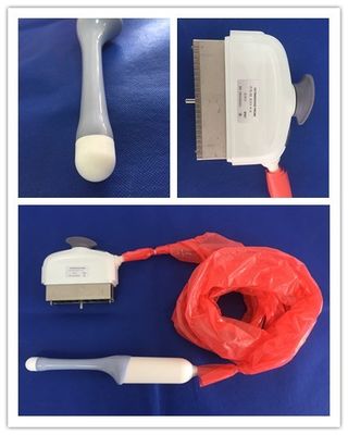 GE RIC5-9-D Voluson E6 transvaginale echografie sonde voor nauwkeurige medische diagnose