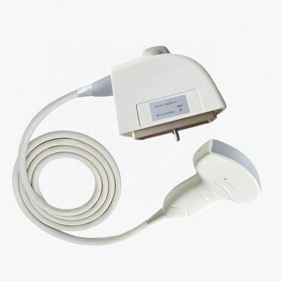 Elektrisch medisch onderzoek Siemens CH5-2 Ultrasone menselijke convexe sonde transducer