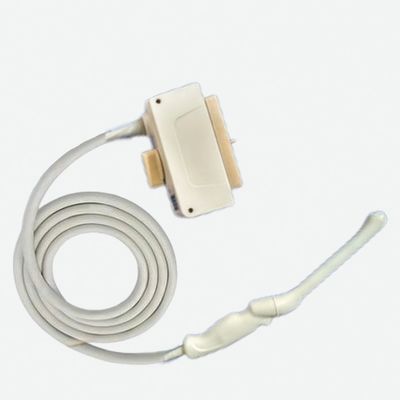 Medisch onderzoek Transvaginale echografie proef voor Accuvix XG V20 EKO7 AKEV4-9/10ED