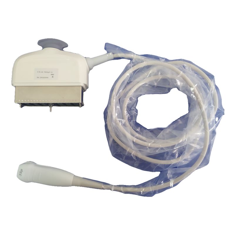 Ultrasone sonde met 3Sp-fased array technologie GE Logiq P5/P6/P6 Pro Compatibel